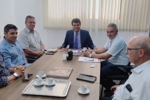 Reunião ACELEN