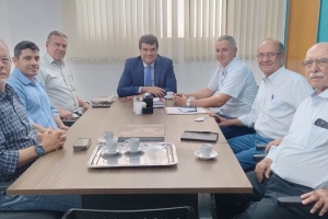 Reunião ACELEN